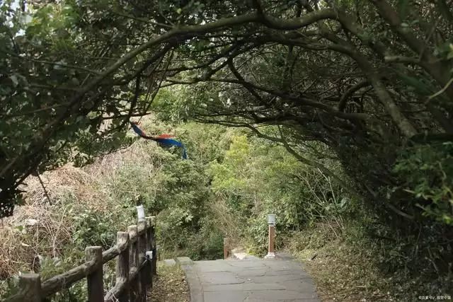 这都可以？！东莞旅游必去十大景 全国旅游攻略 - 东莞旅游必去十大景点