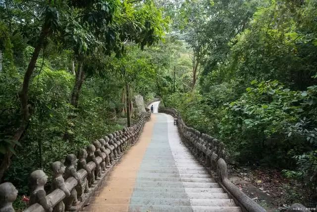 这都可以？！东莞旅游必去十大景 全国旅游攻略 - 东莞旅游必去十大景点