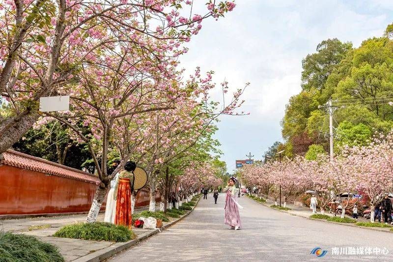 没想到！重庆热门地方 全国热门旅游地攻略 - 重庆知名地点