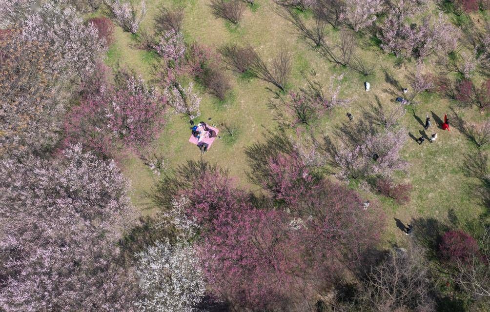 干货分享！扬州可以露营的地方 热门露营地攻略 - 扬州哪里可以野外帐篷露营