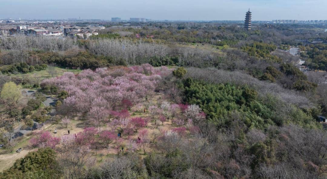 干货分享！扬州可以露营的地方 热门露营地攻略 - 扬州哪里可以野外帐篷露营