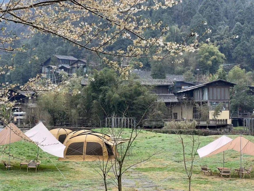 干货分享！遵义附近露营地点推荐 热门露营地攻略 - 遵义哪里露营比较好玩一点的地方