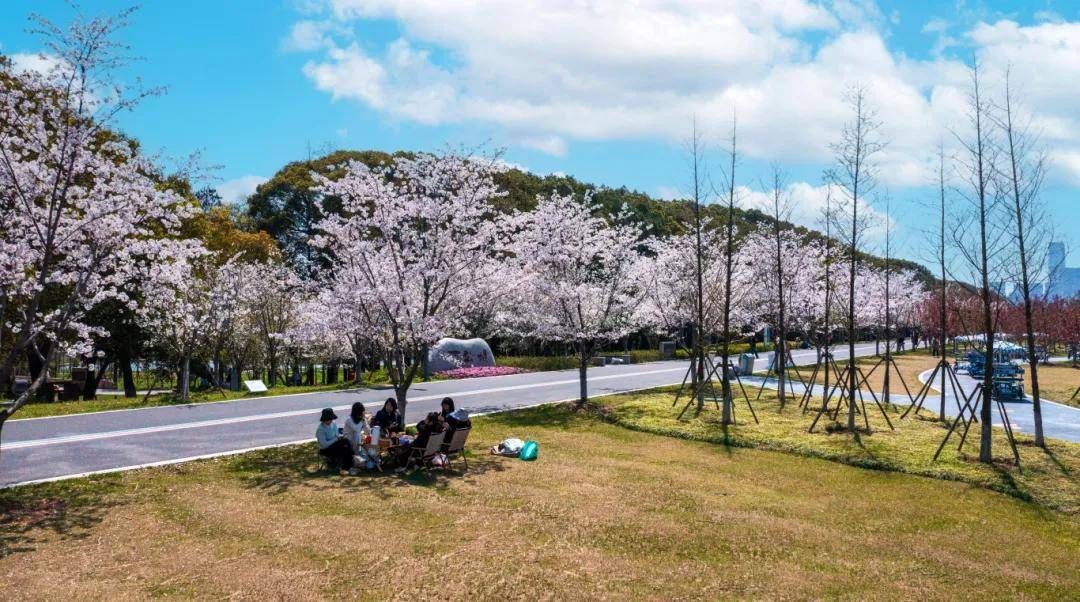 一看就会！吴江东太湖游玩攻略路线 野地露营攻略 - 吴江东太湖景区