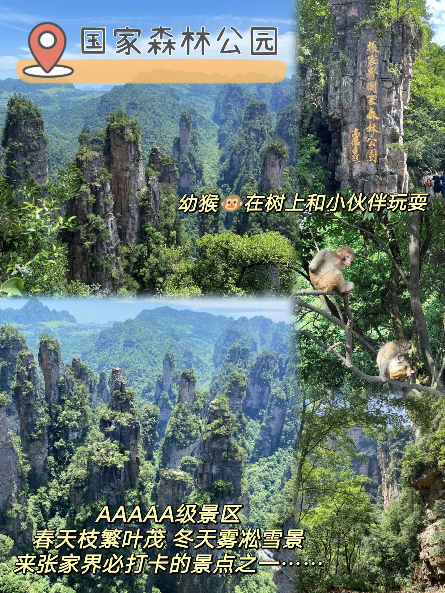 奔走相告！张家界大峡谷介绍 端午节旅游攻略 - 张家界峡谷门票