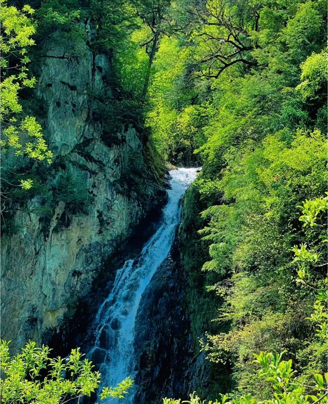 一看就会！成都周边适合露营的旅游景点 端午节露营 - 成都周边自驾露营地