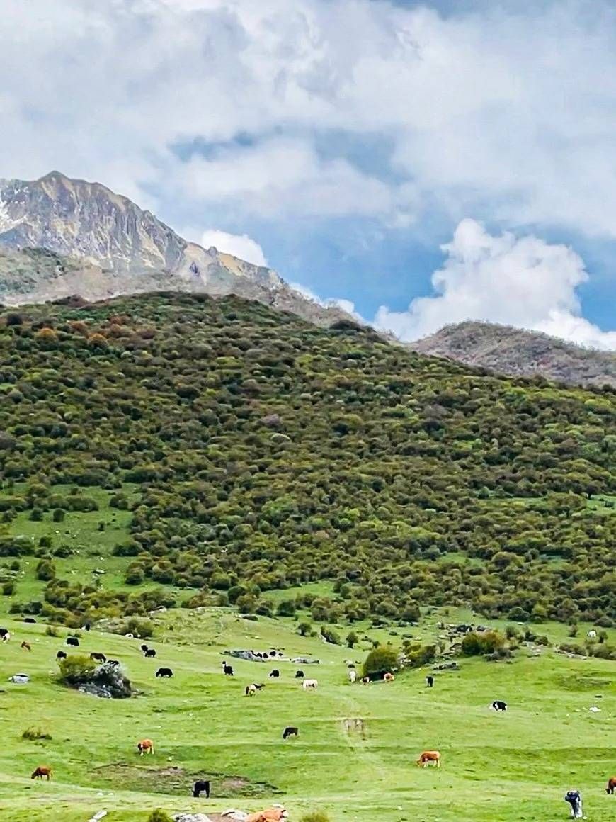 一看就会！成都周边适合露营的旅游景点 端午节露营 - 成都周边自驾露营地