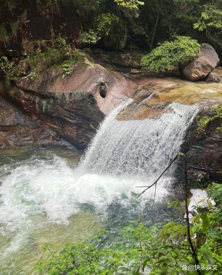 女生独自旅游（独自旅游有什么好处）原创
            章子怡离婚后独自旅游！现身黄山寻找记忆，可惜她再也回不去了