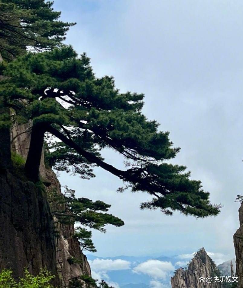 女生独自旅游（独自旅游有什么好处）原创
            章子怡离婚后独自旅游！现身黄山寻找记忆，可惜她再也回不去了