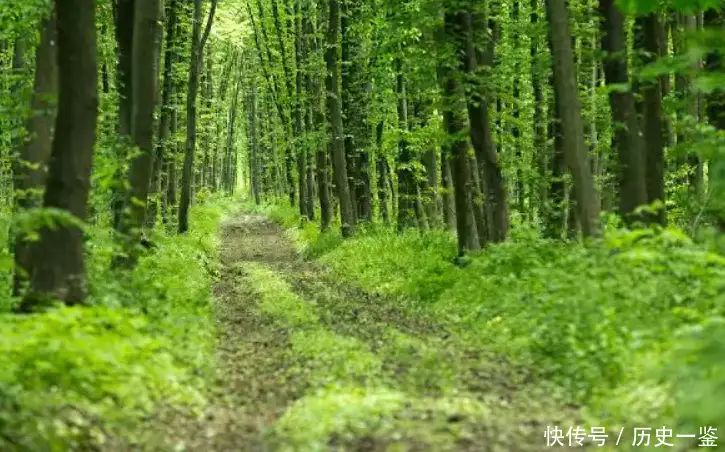 独游西藏女孩（独游西藏女遇难）89年西藏护林员救下马鹿,5年后护林员神秘失踪,马鹿引出重要线索胡蝶：中国早期著名女演员，集美貌与演技于一身，一生传奇！