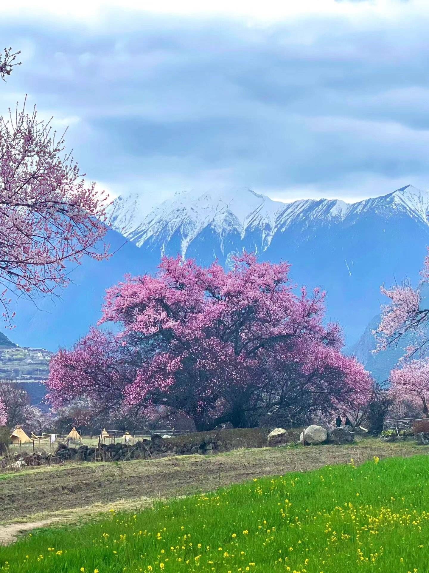 西藏旅游必去十大景点（西藏旅游）[西藏旅游景点攻略]去西藏旅游攻略及费用，西藏旅行详细路线