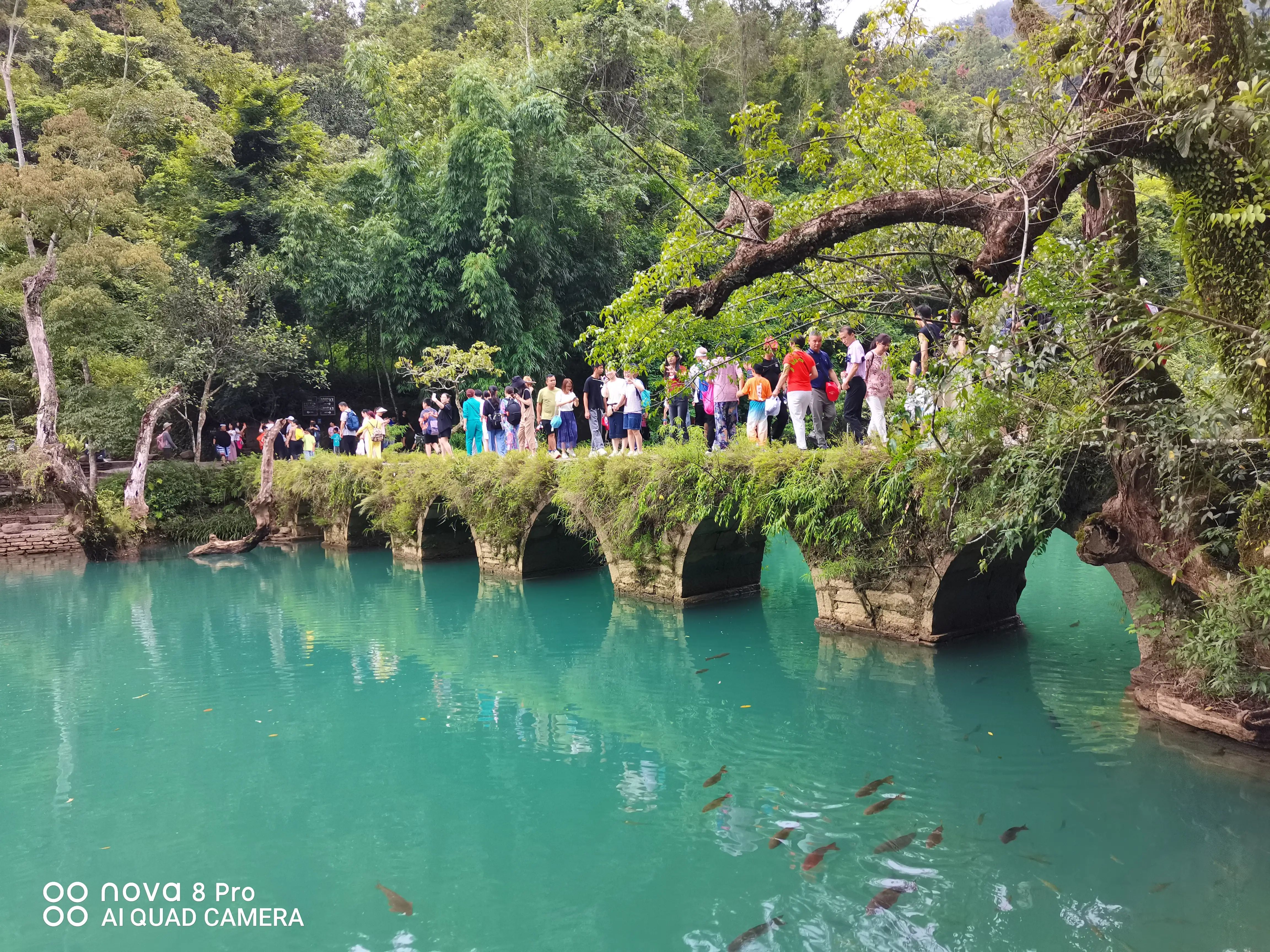 贵州自由行旅游攻略及花费（春季贵州旅游攻略）贵州旅游攻略