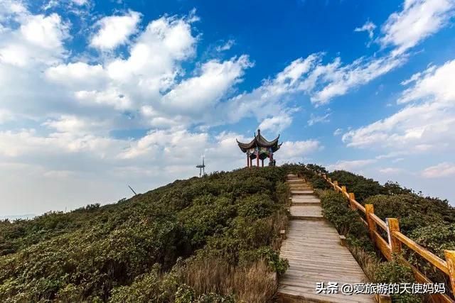 春季贵州旅游攻略路线（贵州春季旅游最佳去处）十天贵州之行旅游攻略