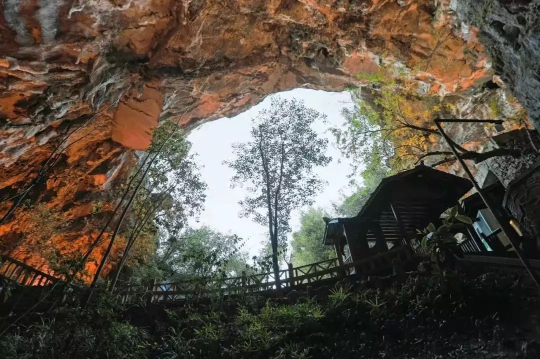 贵州旅游（贵州旅游必去景点贵州旅游攻略）519中国旅游日  贵州这个5A级景区免费开放一周22年前，身高2米42的张俊才娶了1米65的妻子，如今怎么样了