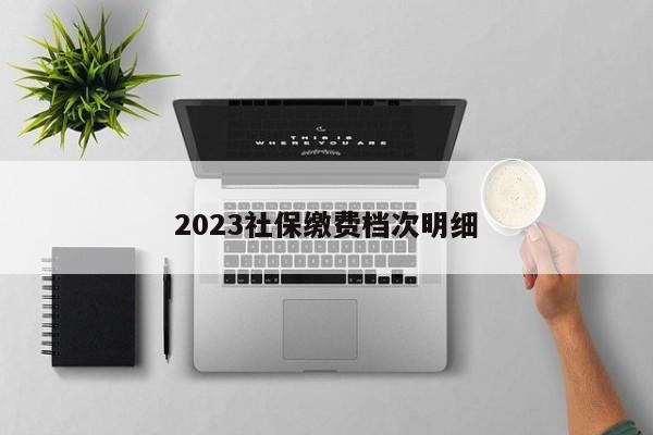 2023社保缴费档次明细