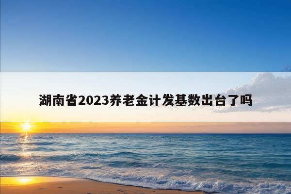 湖南省2023养老金计发基数出台了吗