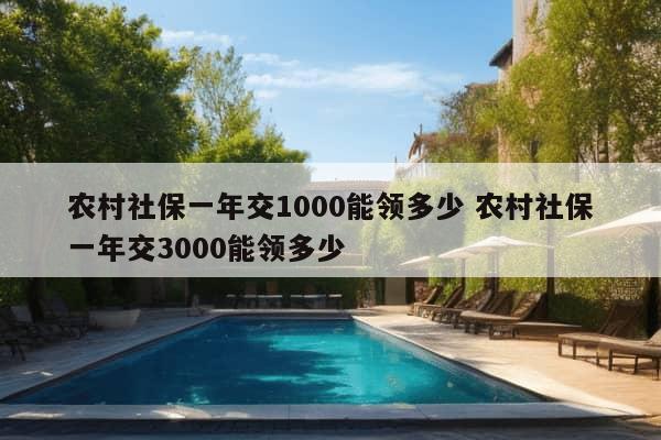 农村社保一年交1000能领多少 农村社保一年交3000能领多少