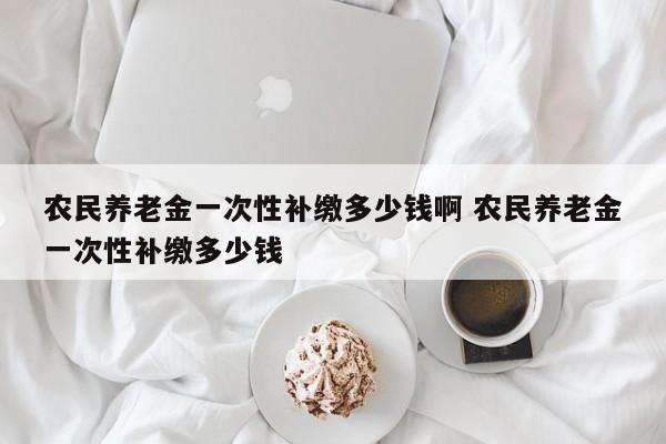 农民养老金一次性补缴多少钱啊 农民养老金一次性补缴多少钱