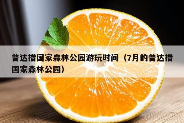 普达措国家森林公园游玩时间（7月的普达措国家森林公园）