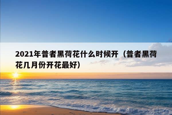 2021年普者黑荷花什么时候开（普者黑荷花几月份开花最好）