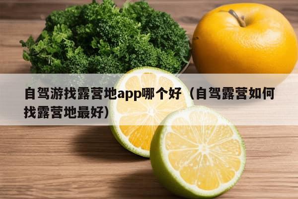 自驾游找露营地app哪个好（自驾露营如何找露营地最好）