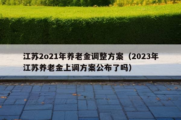 江苏2o21年养老金调整方案（2023年江苏养老金上调方案公布了吗）