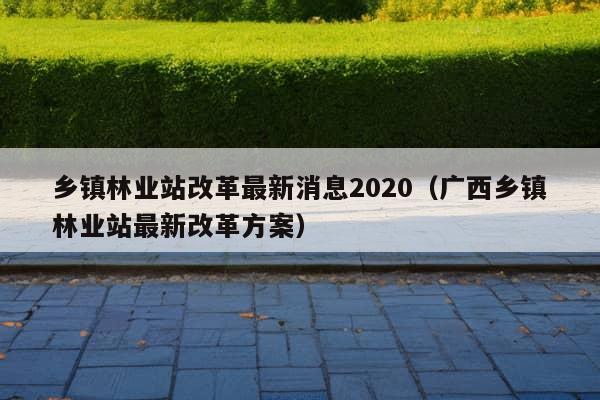 乡镇林业站改革最新消息2020（广西乡镇林业站最新改革方案）