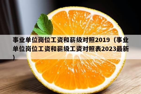 事业单位岗位工资和薪级对照2019（事业单位岗位工资和薪级工资对照表2023最新）