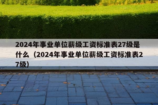 2024年事业单位薪级工资标准表27级是什么（2024年事业单位薪级工资标准表27级）