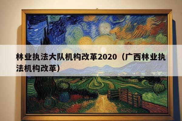 林业执法大队机构改革2020（广西林业执法机构改革）