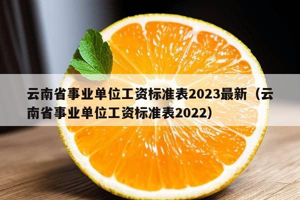 云南省事业单位工资标准表2023最新（云南省事业单位工资标准表2022）