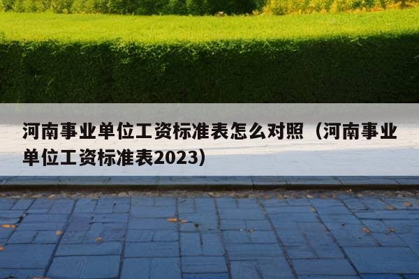 河南事业单位工资标准表怎么对照（河南事业单位工资标准表2023）