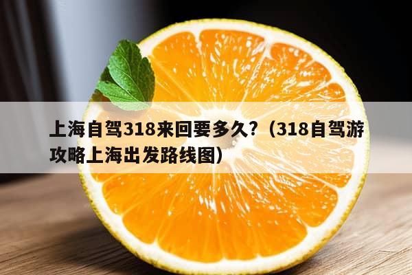 上海自驾318来回要多久?（318自驾游攻略上海出发路线图）