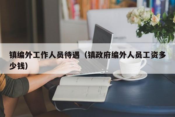 镇编外工作人员待遇（镇政府编外人员工资多少钱）