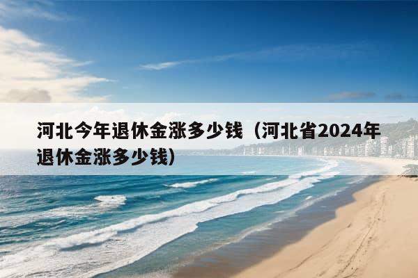 河北今年退休金涨多少钱（河北省2024年退休金涨多少钱）