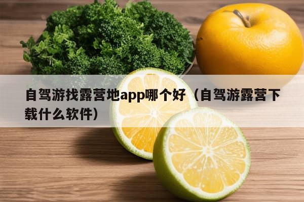 自驾游找露营地app哪个好（自驾游露营下载什么软件）