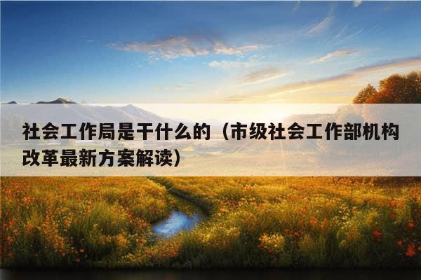 社会工作局是干什么的（市级社会工作部机构改革最新方案解读）