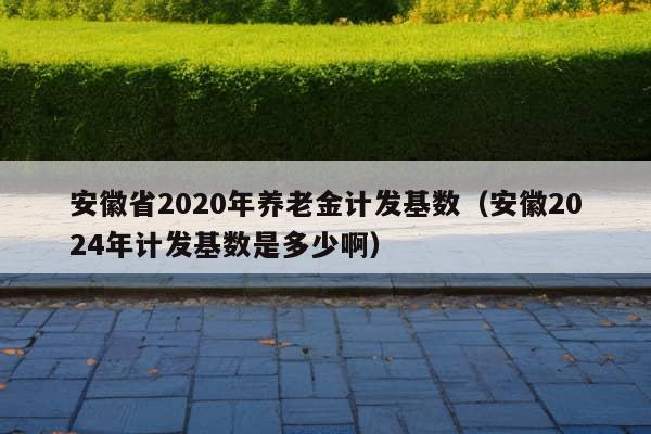 安徽省2020年养老金计发基数（安徽2024年计发基数是多少啊）