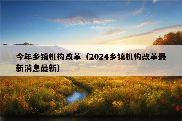 今年乡镇机构改革（2024乡镇机构改革最新消息最新）