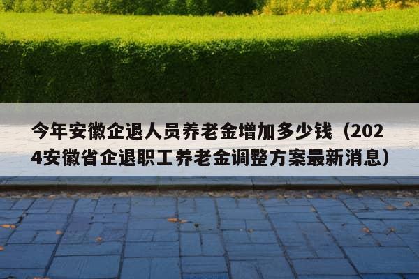 今年安徽企退人员养老金增加多少钱（2024安徽省企退职工养老金调整方案最新消息）