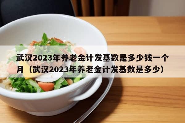 武汉2023年养老金计发基数是多少钱一个月（武汉2023年养老金计发基数是多少）