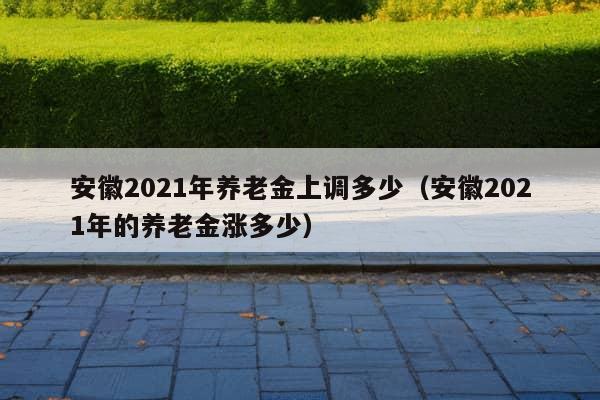 安徽2021年养老金上调多少（安徽2021年的养老金涨多少）