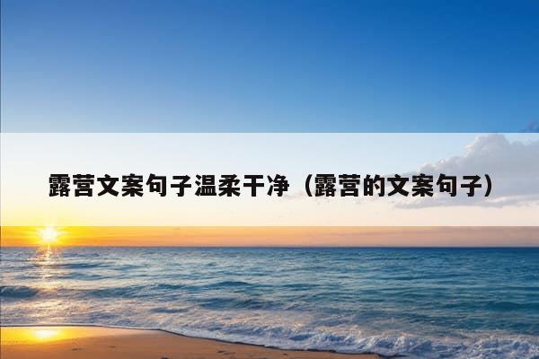 露营文案句子温柔干净（露营的文案句子）