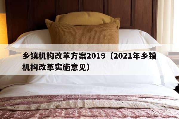 乡镇机构改革方案2019（2021年乡镇机构改革实施意见）