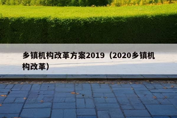 乡镇机构改革方案2019（2020乡镇机构改革）