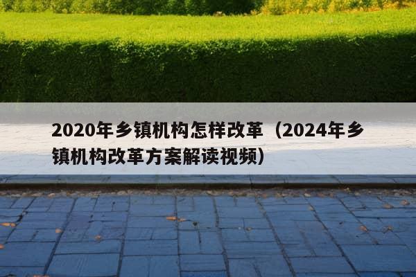 2020年乡镇机构怎样改革（2024年乡镇机构改革方案解读视频）