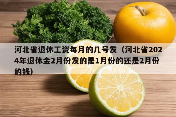 河北省退休工资每月的几号发（河北省2024年退休金2月份发的是1月份的还是2月份的钱）