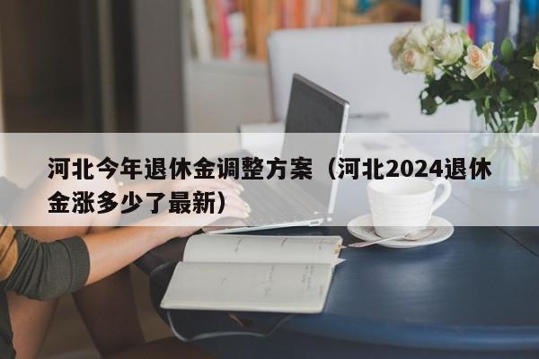 河北今年退休金调整方案（河北2024退休金涨多少了最新）