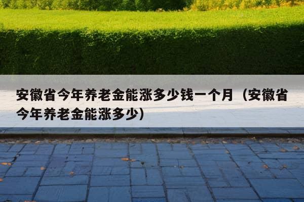 安徽省今年养老金能涨多少钱一个月（安徽省今年养老金能涨多少）