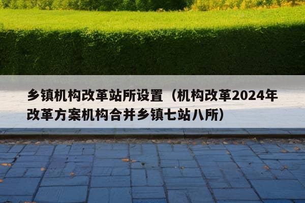 乡镇机构改革站所设置（机构改革2024年改革方案机构合并乡镇七站八所）