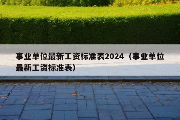 事业单位最新工资标准表2024（事业单位最新工资标准表）